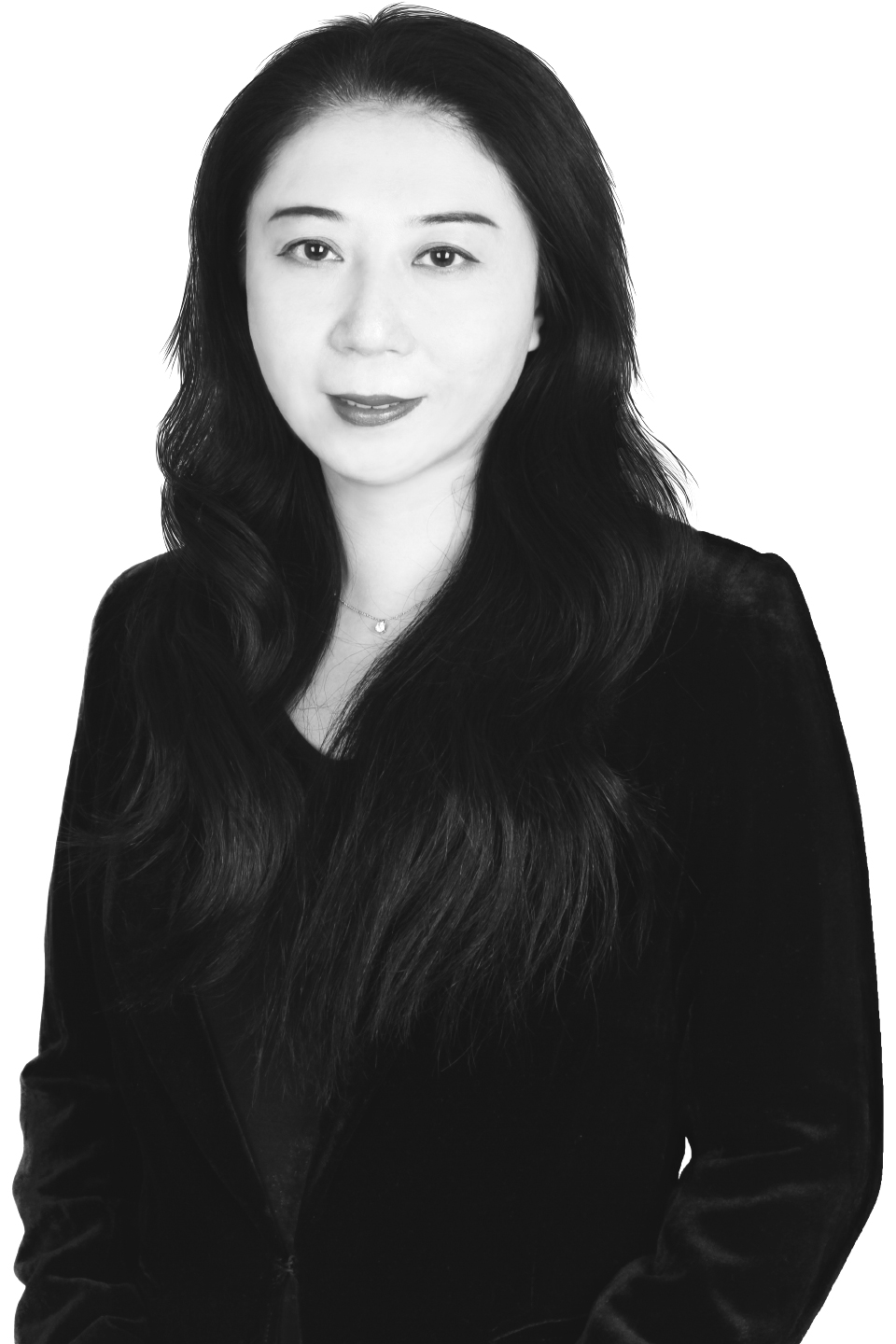Han Jie