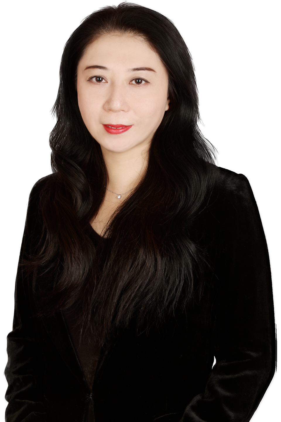 Han Jie